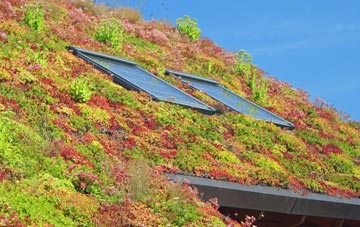 Bower House Tye living roof systems