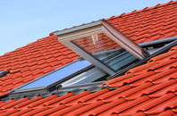 Bower House Tye roof window