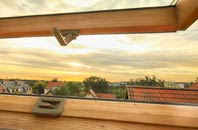 rated Bower House Tye roof window companies